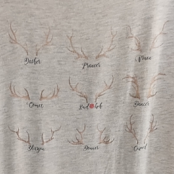 Oatmeal Christmas Soft Tee Shirt Top Reindeer Games Names Graphic - Picture 10 of 12